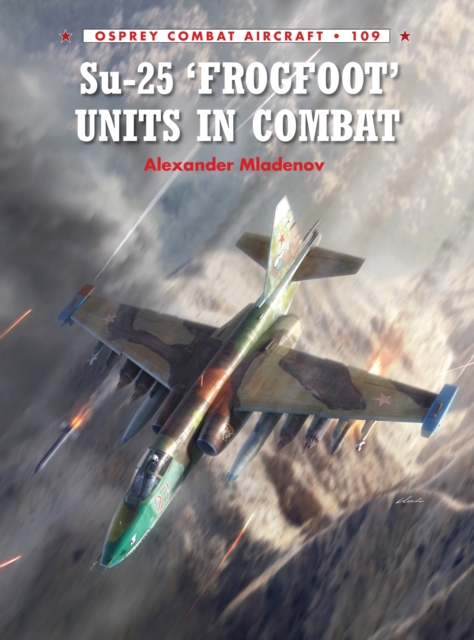 Su-25 'Frogfoot' Units In Combat, PDF eBook