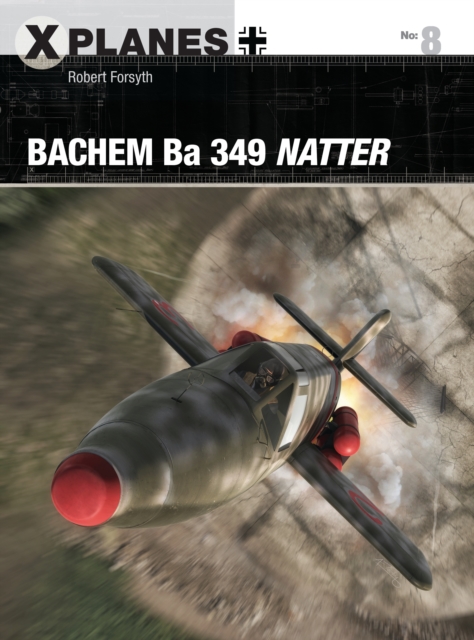 Bachem Ba 349 Natter, EPUB eBook