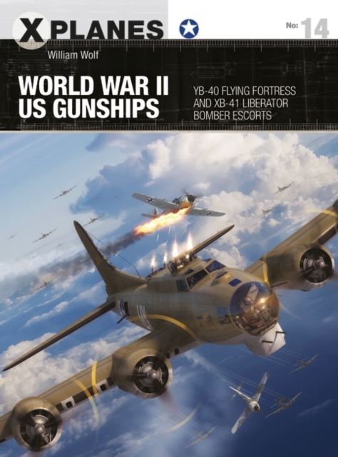 World War II US Gunships : Yb-40 Flying Fortress and Xb-41 Liberator Bomber Escorts, PDF eBook