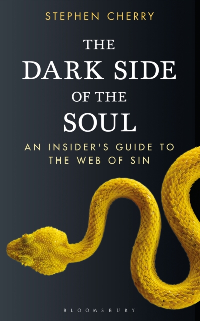 The Dark Side of the Soul : An Insider's Guide to the Web of Sin, PDF eBook