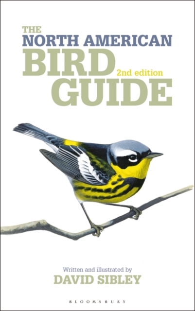 The North American Bird Guide 2nd Edition, Paperback / softback Book