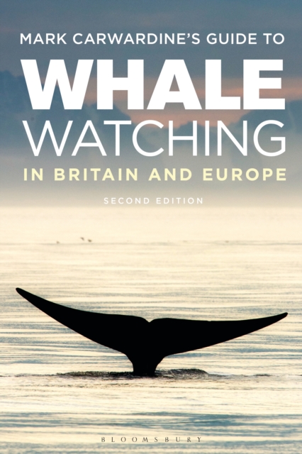 Mark Carwardine's Guide To Whale Watching In Britain And Europe : Second Edition, EPUB eBook