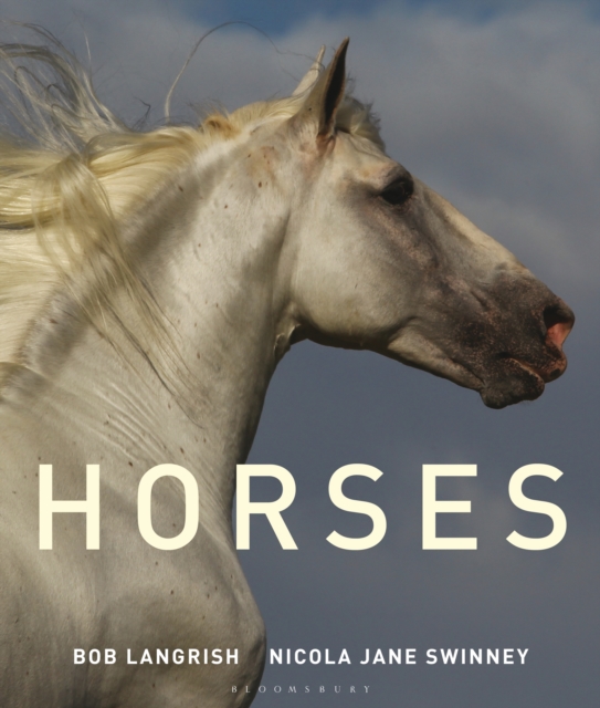 Horses, EPUB eBook