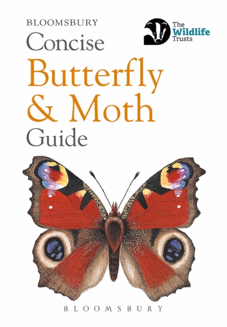 Concise Butterfly and Moth Guide, EPUB eBook