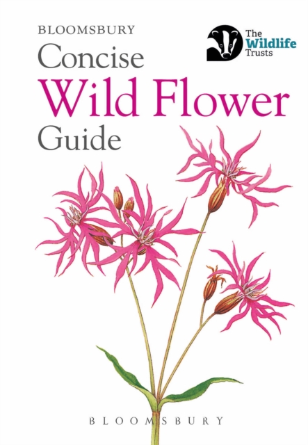 Concise Wild Flower Guide, PDF eBook
