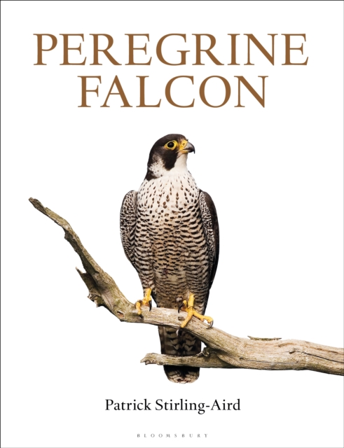 Peregrine Falcon, EPUB eBook
