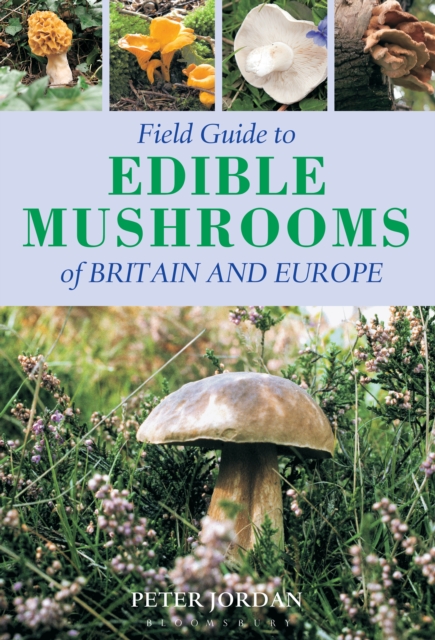 Field Guide To Edible Mushrooms Of Britain And Europe, PDF eBook