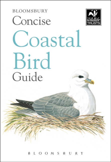 Concise Coastal Bird Guide, EPUB eBook