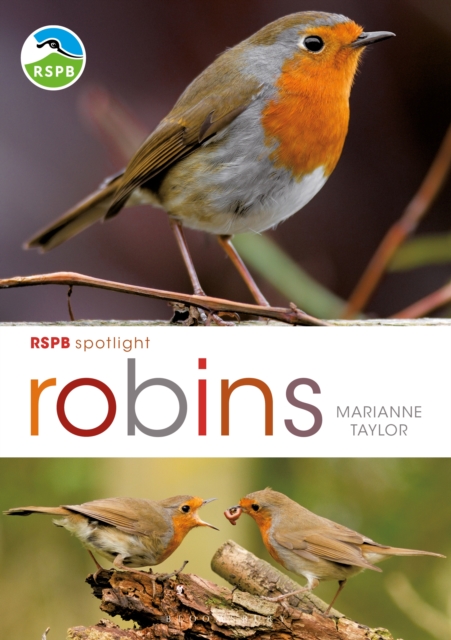 RSPB Spotlight: Robins, PDF eBook