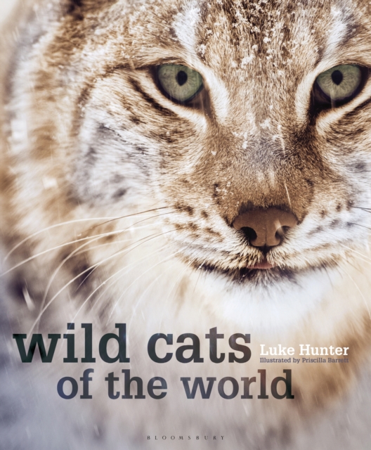 Wild Cats of the World, PDF eBook