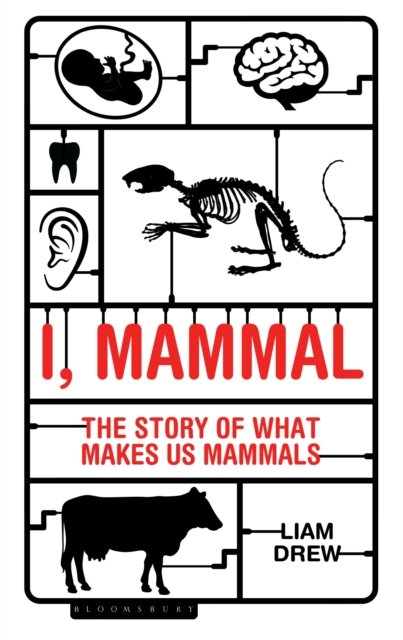 I, Mammal : The Story of What Makes Us Mammals, Paperback / softback Book