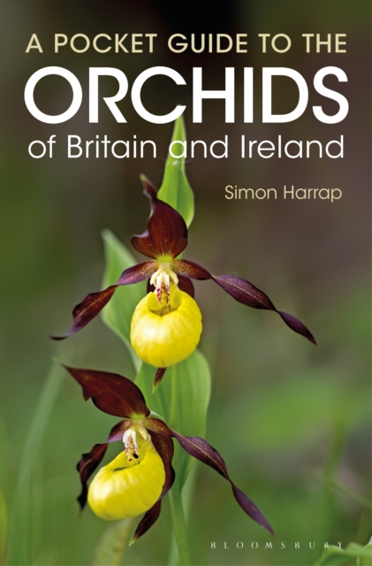 Pocket Guide to the Orchids of Britain and Ireland, PDF eBook