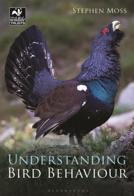 Understanding Bird Behaviour, PDF eBook