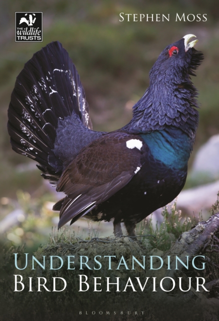 Understanding Bird Behaviour, EPUB eBook