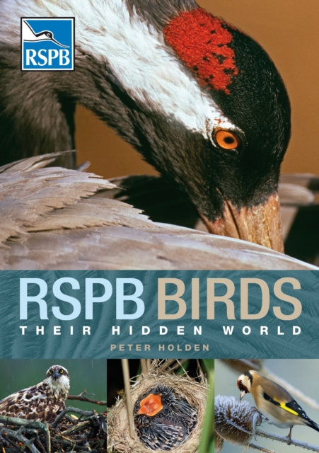 RSPB Birds: Their Hidden World, PDF eBook