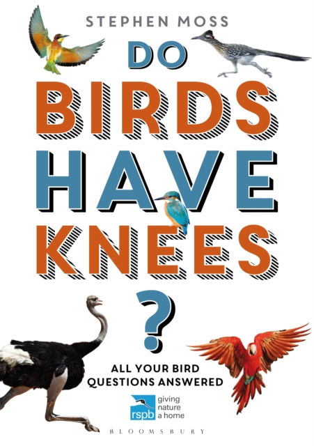 Do Birds Have Knees? : All Your Bird Questions Answered, EPUB eBook