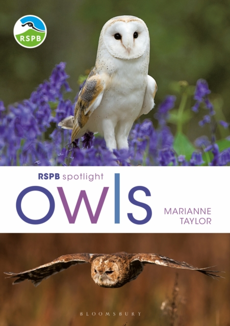 RSPB Spotlight Owls, PDF eBook