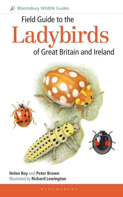 Field Guide to the Ladybirds of Great Britain and Ireland, Paperback / softback Book