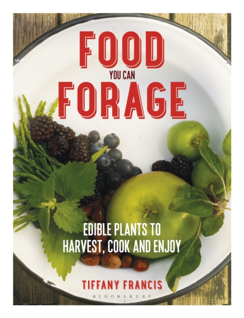 Food You Can Forage : Edible Plants to Harvest, Cook and Enjoy, EPUB eBook