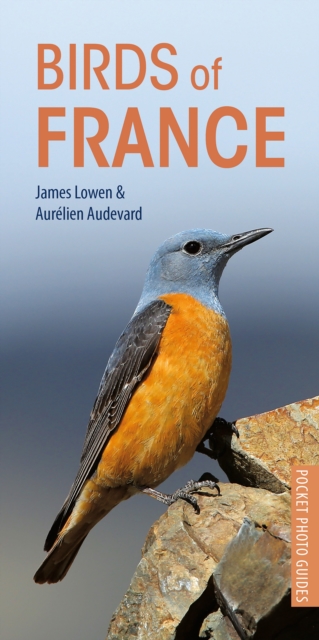 Birds of France, Paperback / softback Book
