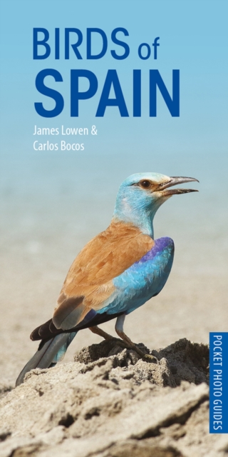 Birds of Spain, Paperback / softback Book