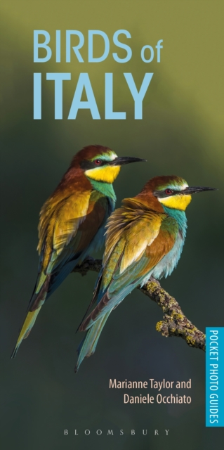 Birds of Italy, EPUB eBook