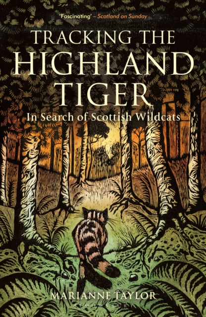 Tracking The Highland Tiger : In Search of Scottish Wildcats, Paperback / softback Book