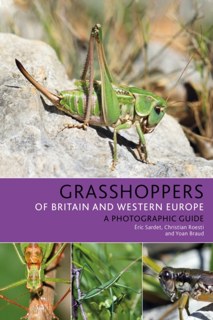 Grasshoppers of Britain and Western Europe : A Photographic Guide, Paperback / softback Book