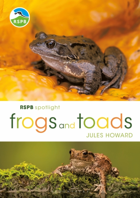 RSPB Spotlight Frogs and Toads, Paperback / softback Book