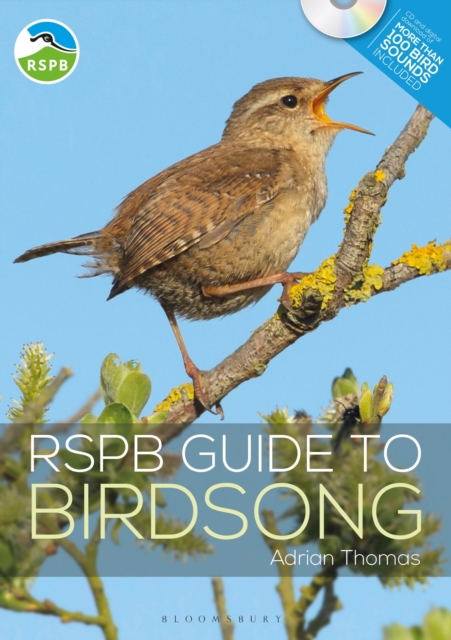 RSPB Guide to Birdsong, Paperback / softback Book