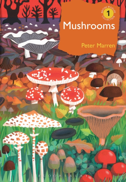 Mushrooms : The Natural and Human World of British Fungi, EPUB eBook