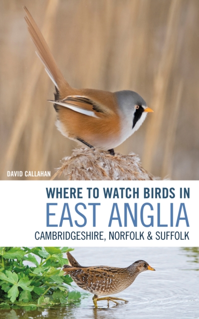 Where to Watch Birds in East Anglia : Cambridgeshire, Norfolk and Suffolk, EPUB eBook