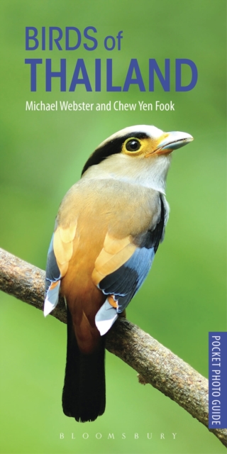 Birds of Thailand, Paperback / softback Book