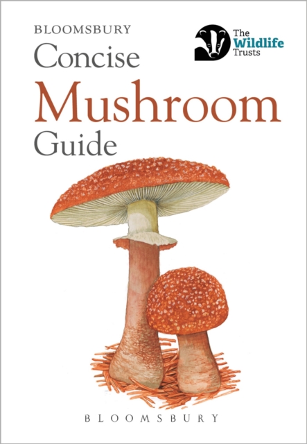 Concise Mushroom Guide, Paperback / softback Book