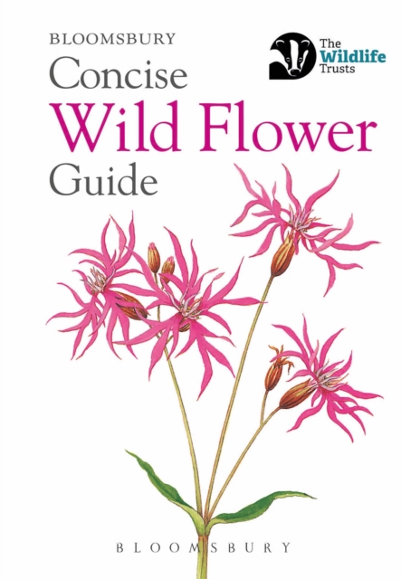 Concise Wild Flower Guide, Paperback / softback Book
