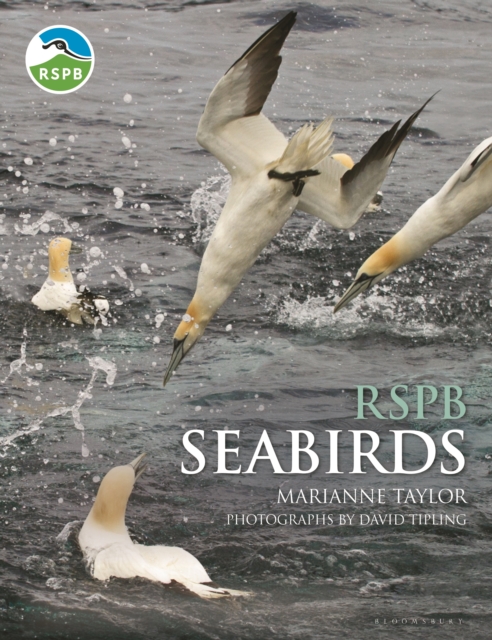 Rspb Seabirds, Hardback Book