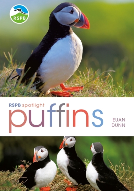 RSPB Spotlight: Puffins, Paperback / softback Book