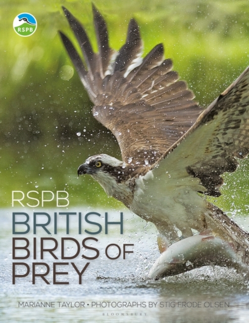 RSPB British Birds of Prey, Hardback Book