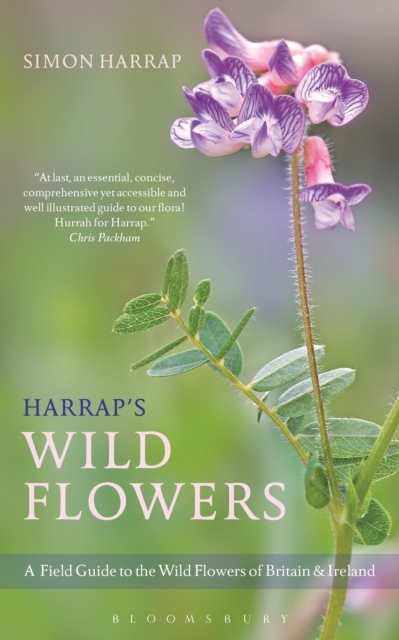 Harrap's Wild Flowers, Paperback / softback Book