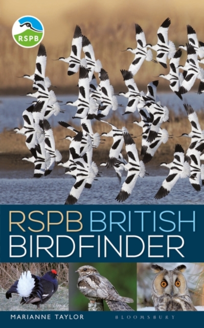 RSPB British Birdfinder, Paperback / softback Book