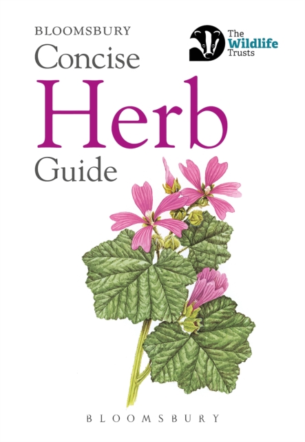 Concise Herb Guide, Paperback / softback Book
