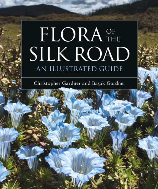 Flora of the Silk Road : An Illustrated Guide, Hardback Book