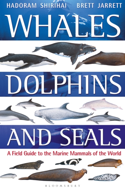 Whales, Dolphins and Seals : A field guide to the marine mammals of the world, Paperback / softback Book
