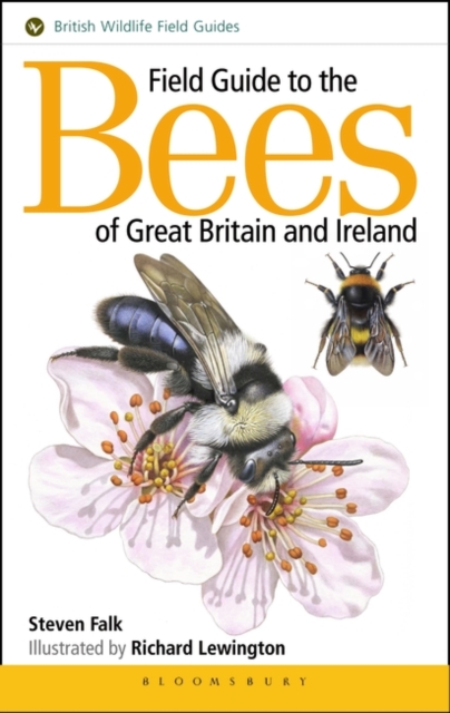 Field Guide to the Bees of Great Britain and Ireland, EPUB eBook