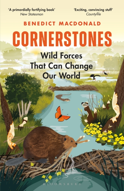 Cornerstones : Wild Forces That Can Change Our World, EPUB eBook