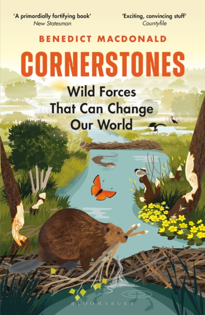 Cornerstones : Wild forces that can change our world, Paperback / softback Book