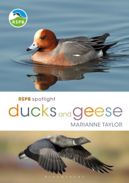 RSPB Spotlight Ducks and Geese, EPUB eBook