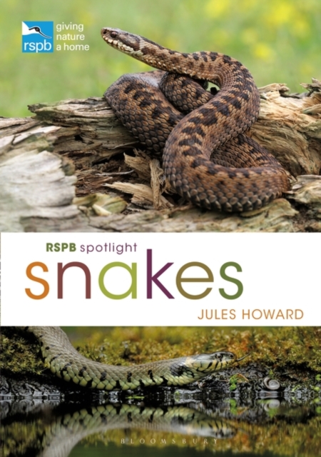 RSPB Spotlight Snakes, EPUB eBook
