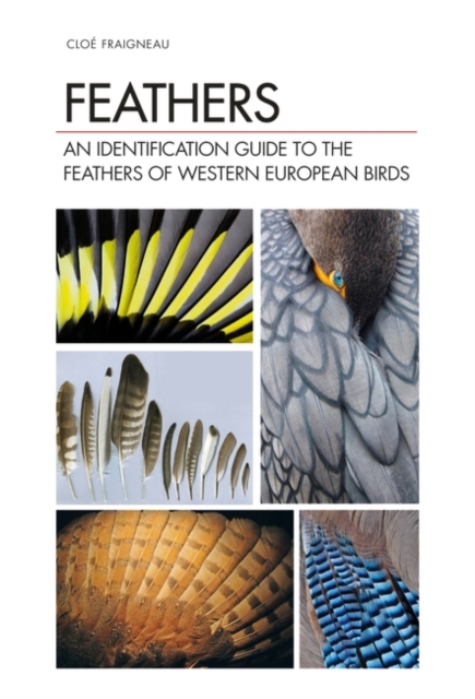 Feathers : An Identification Guide to the Feathers of Western European Birds, EPUB eBook
