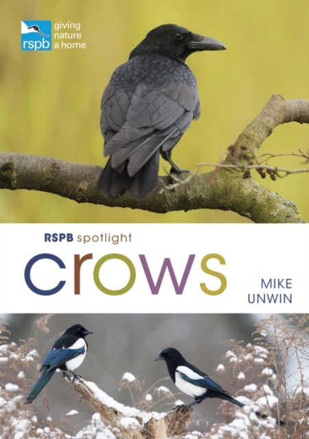 RSPB Spotlight Crows, EPUB eBook